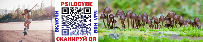 МЕГА зеркало  сайты даркнета состав  Псилоцибиновые грибы Magic Shrooms  Канаш 
